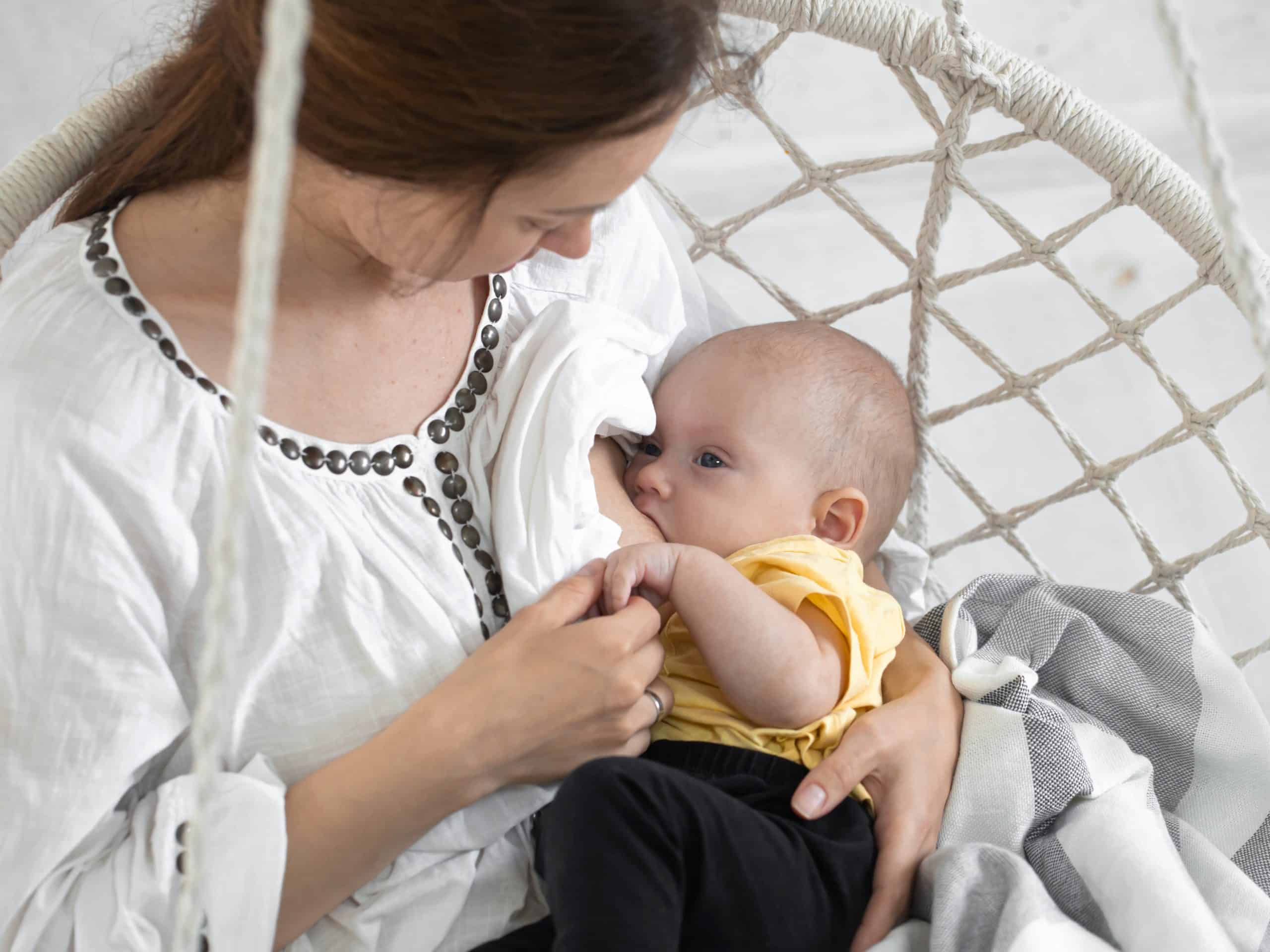 Mom breastfeeds her newborn baby in a white hammock chair on a light background. Breastfeeding concept, close up.